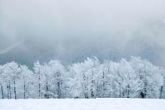 Winter Landscape-silver-john-Photographic Print