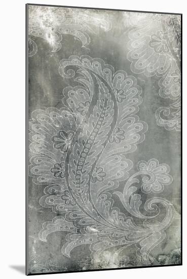 Silver Lace I-Vision Studio-Mounted Art Print