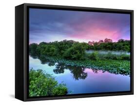 Silver Lake Nature Center, Philadelphia, Pennsylvania, USA-Jay O'brien-Framed Stretched Canvas