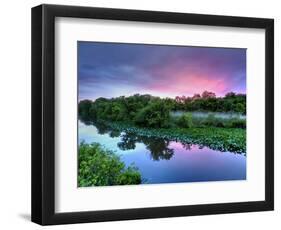 Silver Lake Nature Center, Philadelphia, Pennsylvania, USA-Jay O'brien-Framed Photographic Print