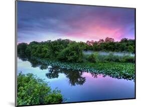 Silver Lake Nature Center, Philadelphia, Pennsylvania, USA-Jay O'brien-Mounted Photographic Print