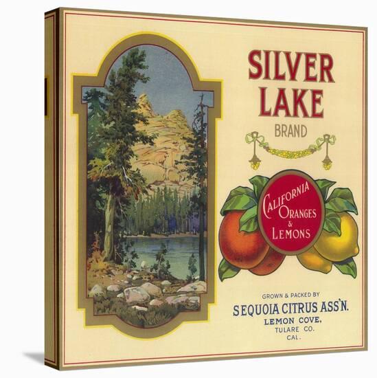 Silver Lake Orange Label - Lemon Cove, CA-Lantern Press-Stretched Canvas