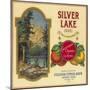 Silver Lake Orange Label - Lemon Cove, CA-Lantern Press-Mounted Art Print