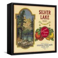 Silver Lake Orange Label - Lemon Cove, CA-Lantern Press-Framed Stretched Canvas