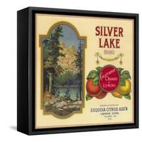 Silver Lake Orange Label - Lemon Cove, CA-Lantern Press-Framed Stretched Canvas