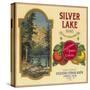 Silver Lake Orange Label - Lemon Cove, CA-Lantern Press-Stretched Canvas