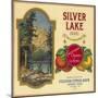 Silver Lake Orange Label - Lemon Cove, CA-Lantern Press-Mounted Premium Giclee Print