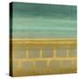 Silver-Leafed Horizon-Randy Hibberd-Stretched Canvas
