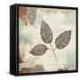 Silver Leaves II-James Wiens-Framed Stretched Canvas