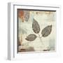 Silver Leaves II-James Wiens-Framed Art Print