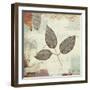 Silver Leaves II-James Wiens-Framed Art Print