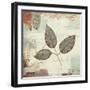 Silver Leaves II-James Wiens-Framed Art Print