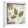 Silver Leaves II-James Wiens-Framed Art Print