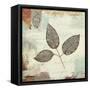 Silver Leaves II-James Wiens-Framed Stretched Canvas