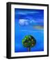 Silver Lining over the Orange Tree, 2012-Nancy Moniz-Framed Photographic Print