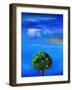 Silver Lining over the Orange Tree, 2012,-Nancy Moniz Charalambous-Framed Giclee Print