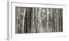 Silver Lining-Tandi Venter-Framed Giclee Print