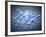 Silver Liquid-Kulka-Framed Photographic Print