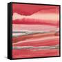 Silver Marsh-Chris Paschke-Framed Stretched Canvas
