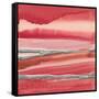 Silver Marsh-Chris Paschke-Framed Stretched Canvas