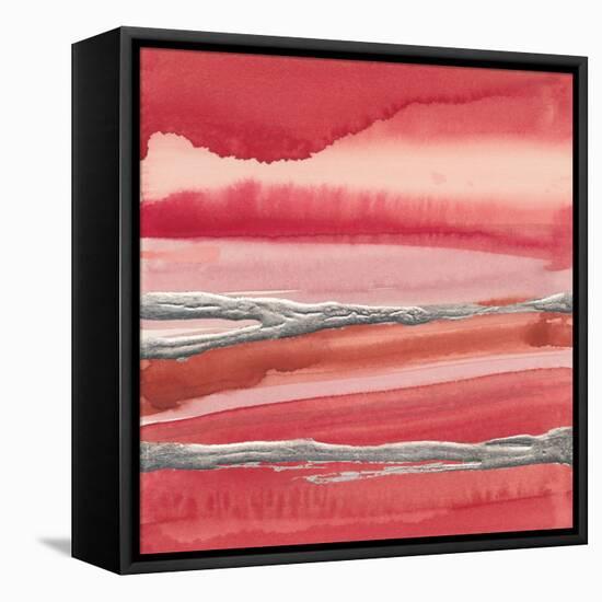 Silver Marsh-Chris Paschke-Framed Stretched Canvas