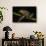 Silver Marsupial Frog Base of Chimborazo Volcano, Andes, Ecuador-Pete Oxford-Framed Stretched Canvas displayed on a wall