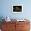 Silver Marsupial Frog Base of Chimborazo Volcano, Andes, Ecuador-Pete Oxford-Framed Photographic Print displayed on a wall