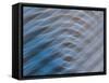 Silver metal abstract.-Merrill Images-Framed Stretched Canvas