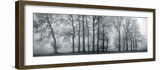 Silver Mists III-Bill Philip-Framed Giclee Print