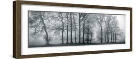 Silver Mists III-Bill Philip-Framed Giclee Print