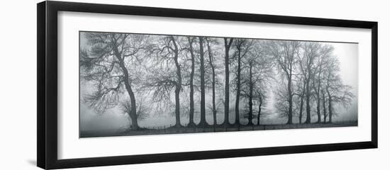 Silver Mists III-Bill Philip-Framed Giclee Print
