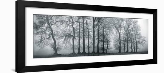 Silver Mists III-Bill Philip-Framed Giclee Print