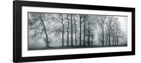 Silver Mists III-Bill Philip-Framed Giclee Print