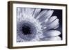 Silver Mood-Incredi-Framed Giclee Print