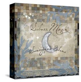 Silver Moon 3-null-Stretched Canvas