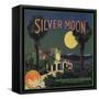 Silver Moon Brand - San Fernando, California - Citrus Crate Label-Lantern Press-Framed Stretched Canvas