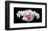 Silver Moon-Gerard Beauvoir-Framed Art Print