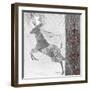 Silver Moonlight IV Deer-Sasha-Framed Giclee Print