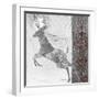 Silver Moonlight IV Deer-Sasha-Framed Giclee Print