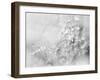 Silver Morning-Heidi Westum-Framed Photographic Print