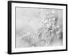 Silver Morning-Heidi Westum-Framed Photographic Print