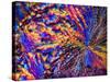 Silver Nitrate Crystals, LM-Dr. Keith Wheeler-Stretched Canvas