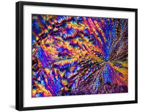 Silver Nitrate Crystals, LM-Dr. Keith Wheeler-Framed Photographic Print