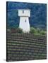 Silver Oak Cellars, Alexander Valley Wine Country, California-John Alves-Stretched Canvas