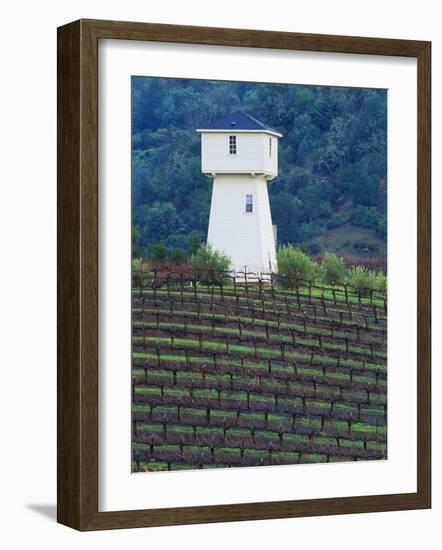 Silver Oak Cellars, Alexander Valley Wine Country, California-John Alves-Framed Photographic Print