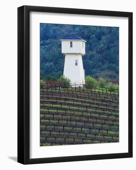 Silver Oak Cellars, Alexander Valley Wine Country, California-John Alves-Framed Photographic Print