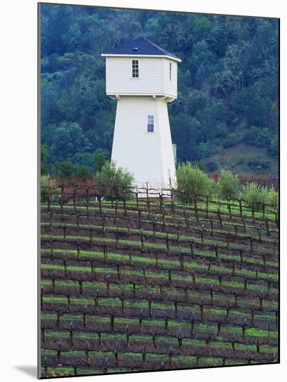 Silver Oak Cellars, Alexander Valley Wine Country, California-John Alves-Mounted Photographic Print