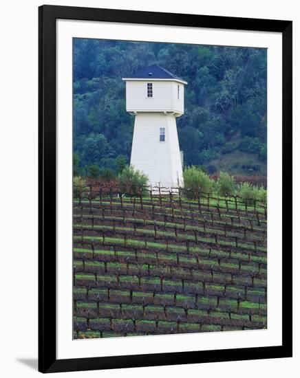 Silver Oak Cellars, Alexander Valley Wine Country, California-John Alves-Framed Photographic Print