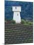 Silver Oak Cellars, Alexander Valley Wine Country, California-John Alves-Mounted Photographic Print