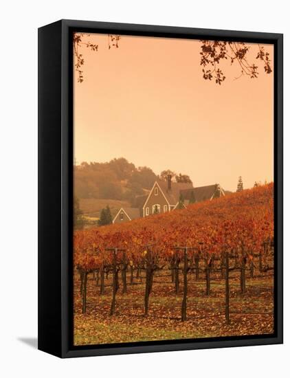 Silver Oak Cellars Winery and Vineyard, Alexander Valley, Mendocino County, California, USA-John Alves-Framed Stretched Canvas